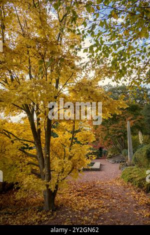 Wunderschön Erkunden Sie den Herbstgarten im Belleisle Conservatory, Ayrshire, Schottland Stockfoto