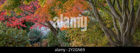 Wunderschön Erkunden Sie den Herbstgarten im Belleisle Conservatory, Ayrshire, Schottland Stockfoto