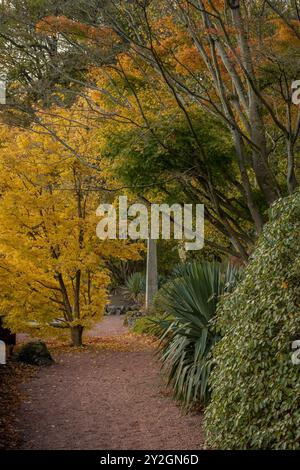 Wunderschön Erkunden Sie den Herbstgarten im Belleisle Conservatory, Ayrshire, Schottland Stockfoto