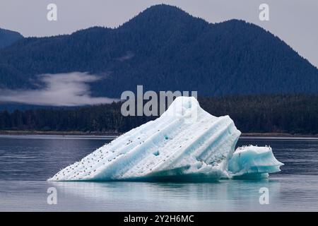 Gletschereisberg aus Eis kalbte vom South Sawyer Glacier in Tracy Arm, Südost-Alaska, USA, Pazifik. Stockfoto