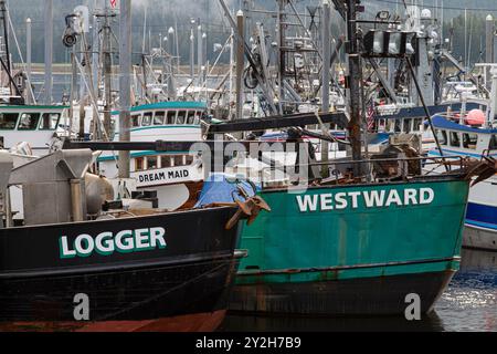 Blick vom Fischerort Petersburg auf Mitkof Island, Südost-Alaska, USA, Pazifik. Stockfoto