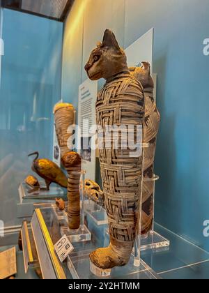 London, England, Detail, Egytian Cat Mummies, innen ausgestellt, Animal Mummies Kollektion Stockfoto