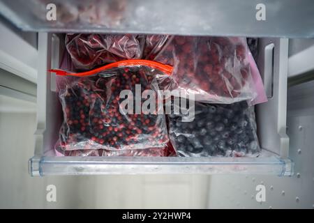 Gefrierschrank mit Tüten gefrorener Preiselbeeren, Heidelbeeren, Himbeeren und Heidelbeeren für den Winter Stockfoto