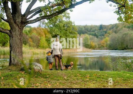 Mutter und ihr kleiner Sohn gehen im Spätherbst-Park mit ihrem Stammhund australischen Terrierhund. Herbstporträt von schwarzem und braunem reinrassigem Au Stockfoto