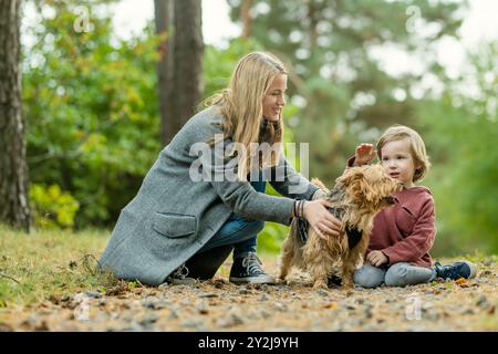 Mutter und ihr kleiner Sohn gehen im Spätherbst-Park mit ihrem Stammhund australischen Terrierhund. Herbstporträt von schwarzem und braunem reinrassigem Au Stockfoto