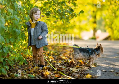 Kleiner Junge, der mit australischem Terrierhund im Spätherbst-Park spielt. Herbstporträt von schwarzem und braunem reinrassigem, typisch australischem Terrier Stockfoto