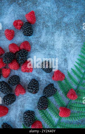 Himbeeren und Brombeeren. Gut für Diät. Draufsicht. Nahaufnahme auf blauem Steinhintergrund Stockfoto