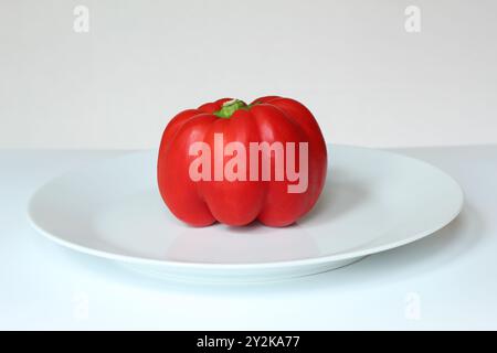 Ganze rohe Paprika auf weißer Platte Stockfoto