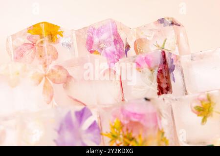 Ein Nahfoto von bunten Blumen, die in Eiswürfeln gefroren sind. Die Blumen sind zart und schön, und das Eis schafft ein Gefühl von Kühle und Gelassenheit Stockfoto