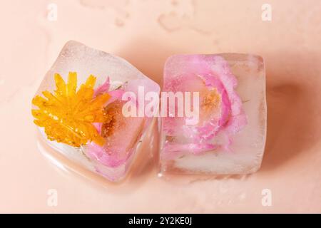 Zwei Eiswürfel mit gefrorenen Blumen. Ein Eiswürfel enthält eine rosa Rose und der andere einen gelben Löwenzahn Stockfoto