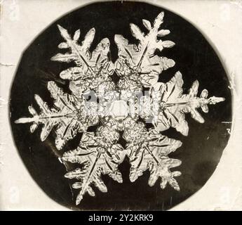 Photomikrographie einer Schneeflocke von Wilson Bentley um 1890 Stockfoto