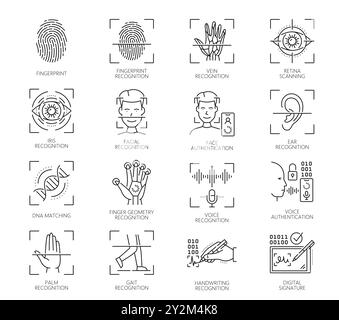 Biometrische Identifizierungs-, Erkennungs- und Verifizierungssymbole von Fingerabdrücken, Linienvektor. Face ID Scan, Identitätsauthentifizierung und digitale Autorisierungstechnologie der biometrischen Identifikation Stock Vektor
