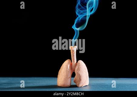 Menschliches Lungenmodell mit blauem Rauch, der aus der Luftröhre aufsteigt, symbolisiert die Gesundheit der Atemwege und die Auswirkungen des Rauchens. Stockfoto