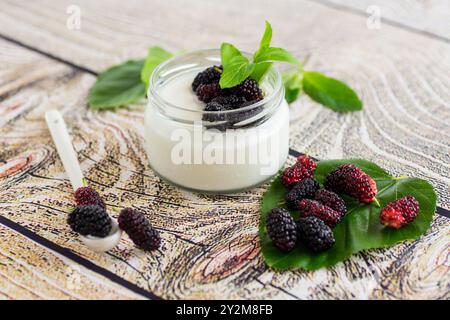 Hausgemachter süßer Joghurt im Glas mit schwarzen Maulbeeren. Stockfoto