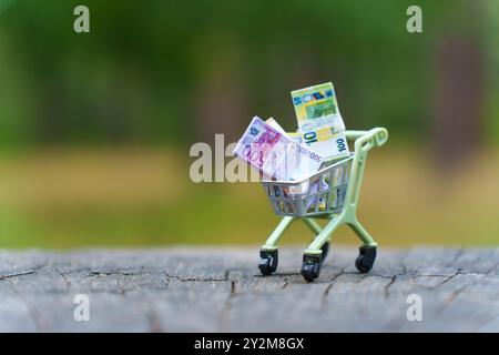 Miniatur-Einkaufswagen gefüllt mit Euro-Scheinen, platziert auf einer rustikalen Holzoberfläche, symbolisiert Shopping, Währung und Finanzkonzepte in einem pla Stockfoto