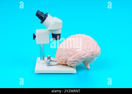 Konzeptuelles Bild eines Mikroskops neben einem Gehirnmodell vor einem leuchtenden türkisfarbenen Hintergrund, das neurowissenschaftliche oder biologische Themen veranschaulicht. Stockfoto