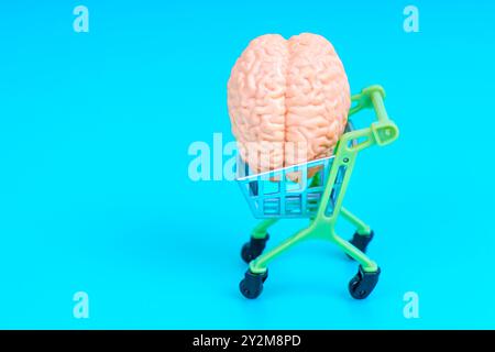 Kleiner Einkaufswagen mit einem auf Blau isolierten Gehirnmodell, das einzigartige Konzepte von Kreativität, Wissen und Entscheidungsfindung zeigt. Stockfoto