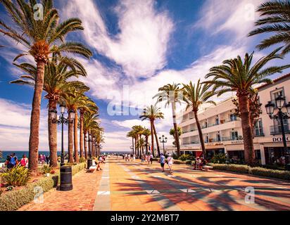 Palmen säumen den Fußweg auf dem Balcon de Europa, Nerja, Spanien Stockfoto