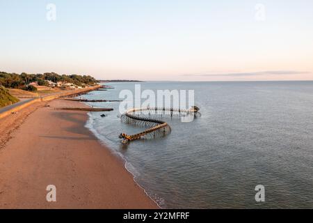 Die Meeresschlange ist ein Werk des Künstlers Huang Yong Ping. Das Skelett einer langen Seeschlange – Frankreich, Loire Atlantique, St. Brévin the Stockfoto