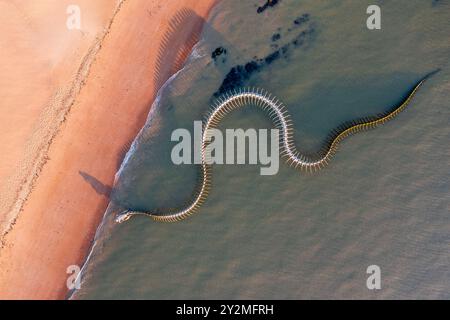 Die Meeresschlange ist ein Werk des Künstlers Huang Yong Ping. Das Skelett einer langen Seeschlange – Frankreich, Loire Atlantique, St. Brévin the Stockfoto