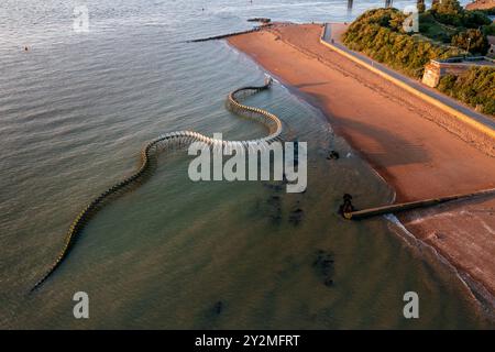 Die Meeresschlange ist ein Werk des Künstlers Huang Yong Ping. Das Skelett einer langen Seeschlange – Frankreich, Loire Atlantique, St. Brévin the Stockfoto