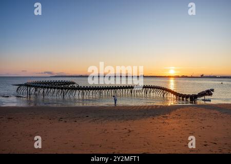 Die Meeresschlange ist ein Werk des Künstlers Huang Yong Ping. Das Skelett einer langen Seeschlange – Frankreich, Loire Atlantique, St. Brévin the Stockfoto