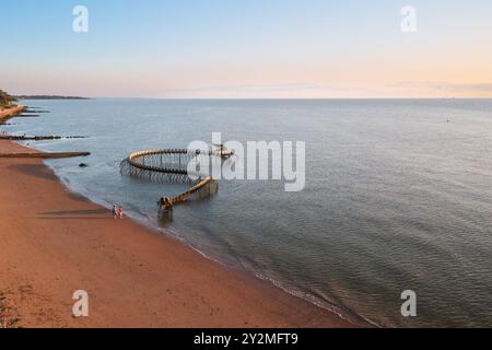 Die Meeresschlange ist ein Werk des Künstlers Huang Yong Ping. Das Skelett einer langen Seeschlange – Frankreich, Loire Atlantique, St. Brévin the Stockfoto