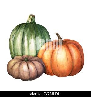 Komposition mit klassischem Herbstgemüse Kürbis. Verschiedene Typen und Farben. Handgezeichnete Aquarellillustration. Isoliert auf weißem Hintergrund. Für Stockfoto