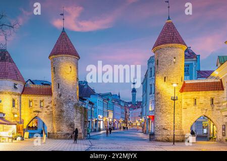 Zwei Türme des Viru-Tores in der Altstadt von Tallinn, Stadtbild Estlands bei Sonnenuntergang Stockfoto