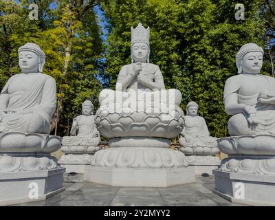 Eine Reihe sitzender Buddha-Statuen im Ishiteji-Tempel in Matsuyama, Japan, eingerahmt von einer ruhigen natürlichen Kulisse aus Bäumen unter einem klaren blauen Himmel. Stockfoto