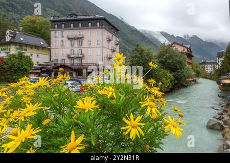 Chamonix Mont-Blanc, Frankreich, Nahaufnahme farbenfroher gelber Blumen, unscharfer Fluss und Häuser im Stadtzentrum des berühmten Resorts Stockfoto