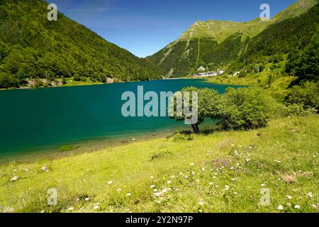 Der See Lac de Fabrèges bei Laruns, Pyrénées-Atlantiques, Frankreich, Europa | Lac de Fabrèges bei Laruns, Pyrénées-Atlantiques, Frankreich, Europ Stockfoto