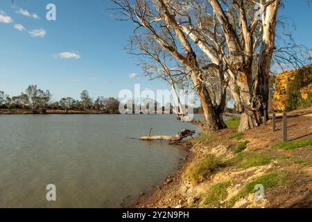 River Murray, Swan Reach, South Australia, Australien Stockfoto