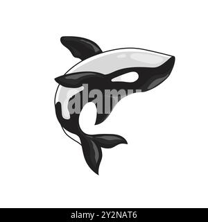 Vektor-Illustration eines Orca-Killerwals Stock Vektor