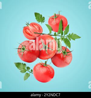 Frische Tomaten mit grünen Blättern in der Luft auf hellblauem Hintergrund Stockfoto