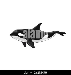 Vektor-Illustration eines Orca-Killerwals Stock Vektor