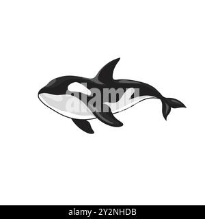 Vektor-Illustration eines Orca-Killerwals Stock Vektor