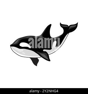 Vektor-Illustration eines Orca-Killerwals Stock Vektor