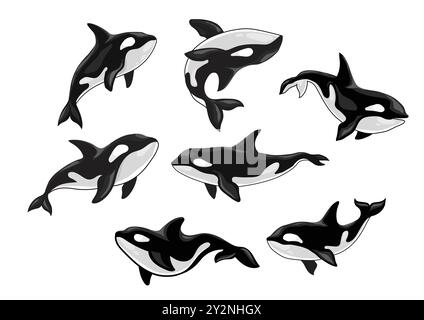 Set von Killerwal, Orcinus Orca, Tierdesign, Ozean Säugetier Orca flache Vektor Illustration Stock Vektor