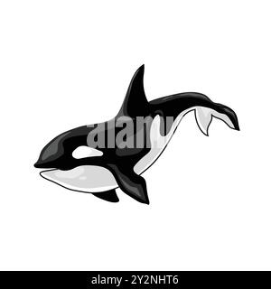 Vektor-Illustration eines Orca-Killerwals Stock Vektor