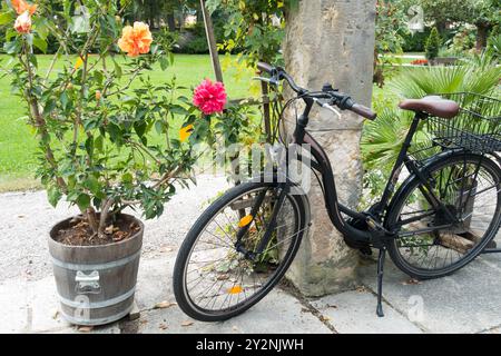 Ein altes schwarzes Fahrrad steht neben einem blühenden Hibiskus in einem Topf und einer Steinsäule in einer ruhigen Gartenanlage Stockfoto