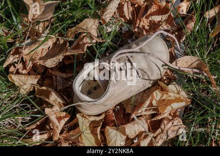 Hamburg, Deutschland. August 2024. Ein einzelner Kinderschuh liegt zwischen den Blättern im Gras. Quelle: Markus Scholz/dpa/Alamy Live News Stockfoto