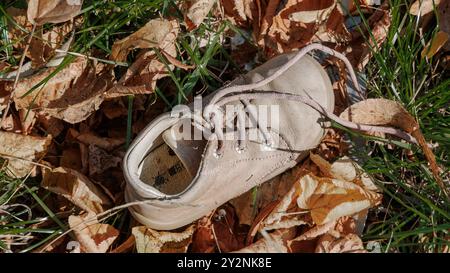 Hamburg, Deutschland. August 2024. Ein einzelner Kinderschuh liegt zwischen den Blättern im Gras. Quelle: Markus Scholz/dpa/Alamy Live News Stockfoto