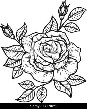 Rose Blume Hand gezeichnet Vektorskizze auf weißem Hintergrund. Stock Vektor