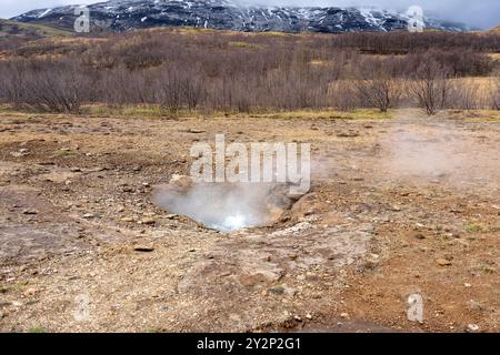 Eine nebelige geothermische Landschaft in Geysir, Island. Dampf steigt aus zahlreichen heißen Quellen und schafft eine surreale und ätherische Atmosphäre. Die vulkanische Aktivität Stockfoto