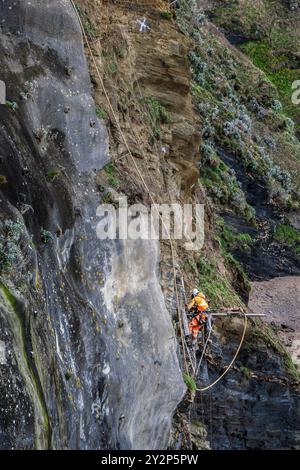 Ein Arbeiter, der an Seilen hängt, um die Klippe oberhalb des Great Western Beach in Newquay in Cornwall in Großbritannien zu stabilisieren. Stockfoto