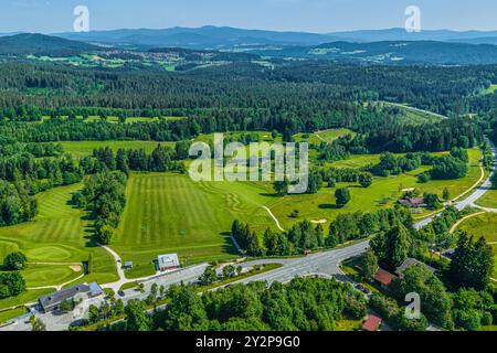 Sommerliche Natur im Bayerischen Wald rund um den Golfplatz bei Rusel Stockfoto