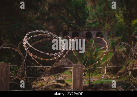 Stacheldraht an einem Zaun verhindert den Eingang zur Burg von Don Pepe am Stadtrand von Bouquete in Panama. Üppiger Wald umgibt die Burg. Stockfoto