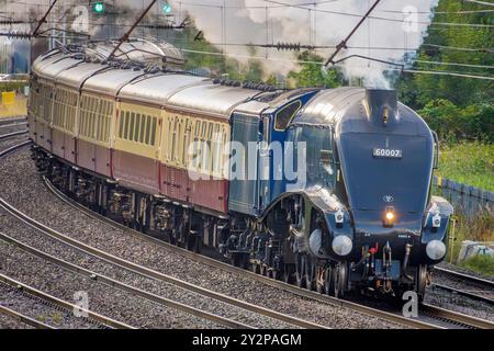 Die alte restaurierte A4 Pacific Dampflokomotive Sir Nigel Gresley, die die Siedlung und Carlisle Fellsman in Richtung Norden von Crewe nach Carlisle transportierte. Stockfoto