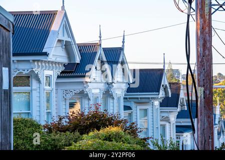 Wohnhäuser in Ponsonby, Auckland, Neuseeland, die im späten 19. Und frühen 20. Jahrhundert erbaut wurden, werden lokal als „Villen“ bezeichnet. Stockfoto